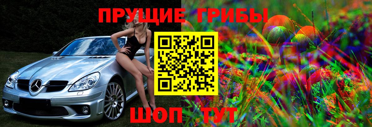 Псилоцибиновые грибы прущие грибы Черкесск