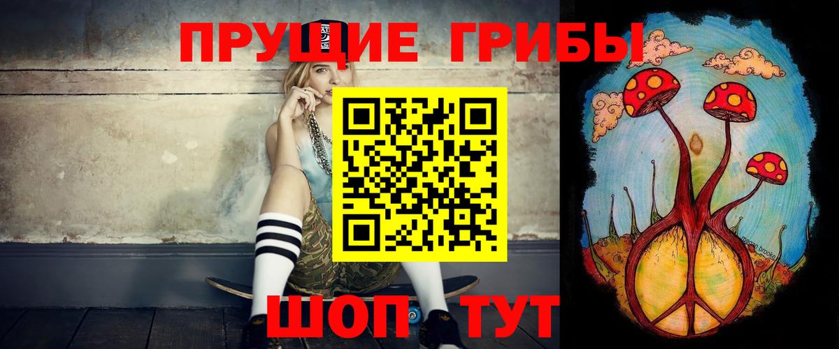 Черкесск  Псилоцибиновые грибы Cubensis  наркошоп  Вход с VPN 